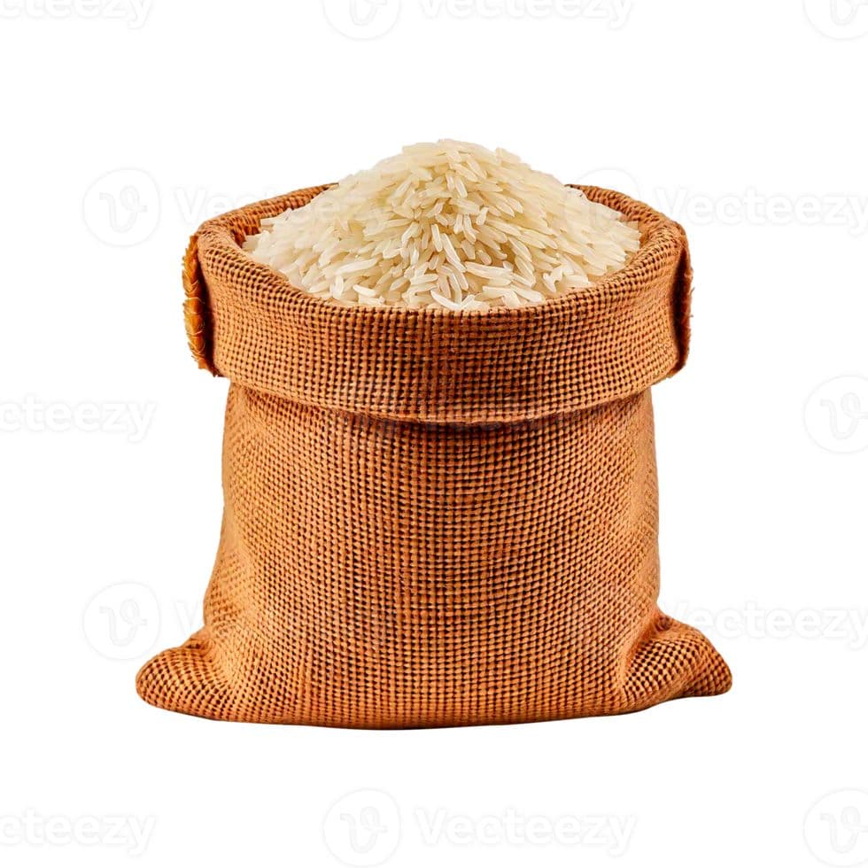 Rice